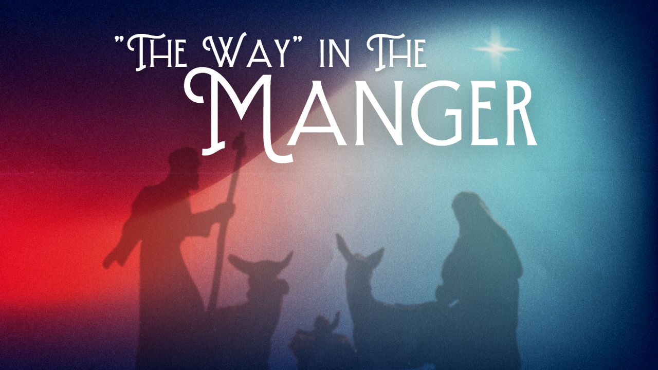 The WAY in the Manger